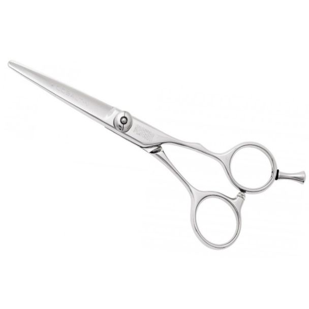 Passion V10 Hairdressing Scissors