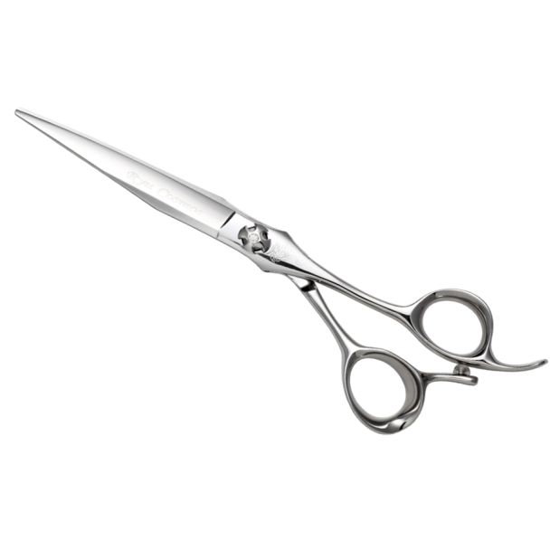 RUY DRAGON Cosmos Scissor