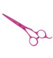 Joewell C Series Colour Hairdressing Scissors